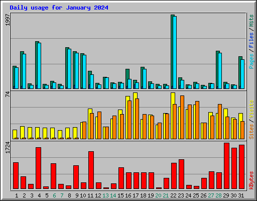 Daily usage for January 2024