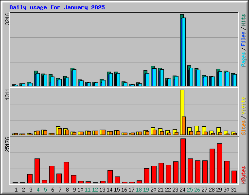 Daily usage for January 2025