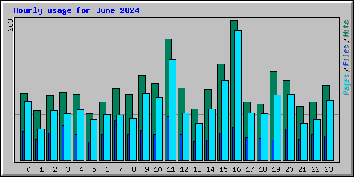 Hourly usage for June 2024