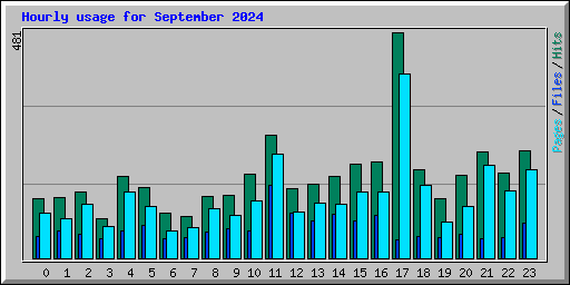Hourly usage for September 2024