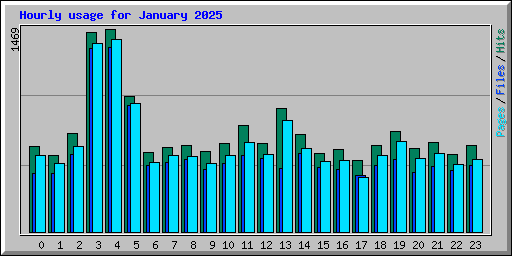 Hourly usage for January 2025