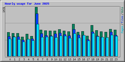 Hourly usage for June 2025