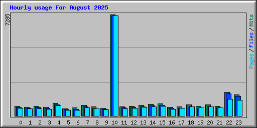 Hourly usage for August 2025