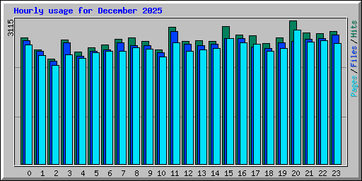 Hourly usage for December 2025