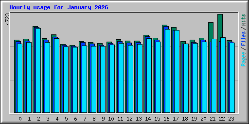 Hourly usage for January 2026
